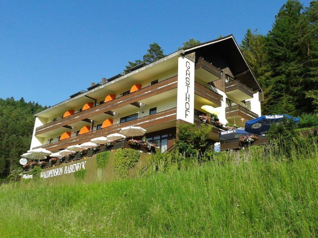 Waldpension Rabeneck Вайшенфельд Экстерьер фото