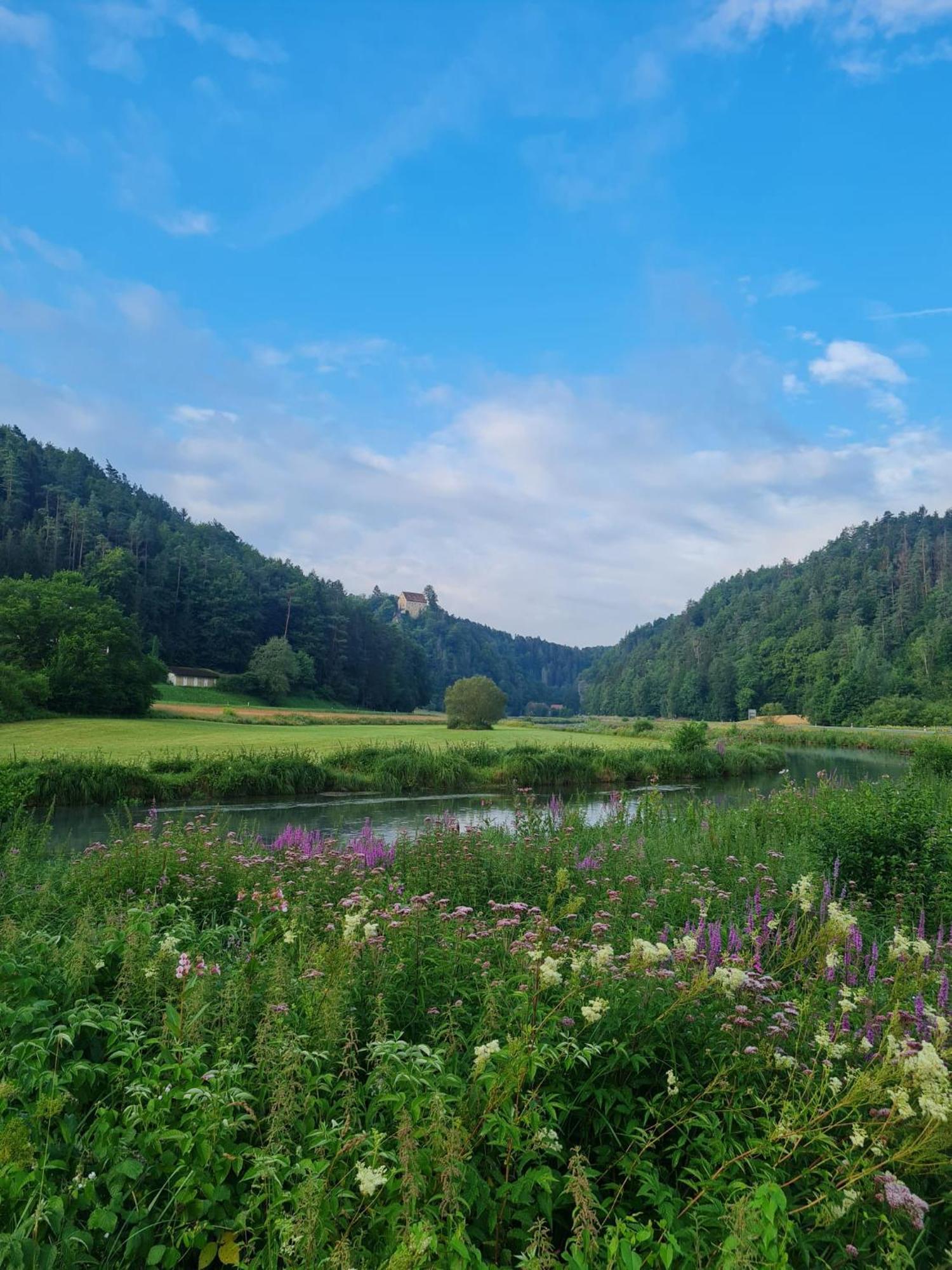 Waldpension Rabeneck Вайшенфельд Экстерьер фото